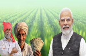 पीएम किसान उत्सव 13 मार्च को, प्रधानमंत्री नरेन्द्र मोदी डीबीटी के जरिए छत्तीसगढ़ के 24.71 लाख से अधिक किसानों को अंतरित करेंगे 498.83 करोड़ रूपए…..