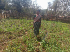 महतारी वंदन योजना से बदली जिंदगी की तस्वीर : श्रीमती सुखी पुनेम बनीं आत्मनिर्भरता और पोषण की मिसाल….