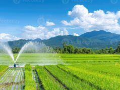 किकिरगेटा उद्वहन सिंचाई योजना हेतु 30.68 करोड़ की पुनरीक्षित स्वीकृति….