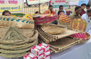 आत्मनिर्भरता की मिसाल बनीं ग्रामीण महिलाएं, गृह उद्योग और हस्तशिल्प से संवर रहा भविष्य…..