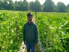 उद्यानिकी की आधुनिक तकनीकों से किसान महेश कश्यप की बदली तकदीर….