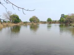 नहरों से सूखते तालाबों में जलभराव : भीषण गर्मी से बड़ी राहत, 4755 तालाब हुए लबालब, ’मुख्यमंत्री साय की मंशा के अनुरूप सूखते तालाबों को जीवनदान देने जल संसाधन विभाग का विशेष अभियान….