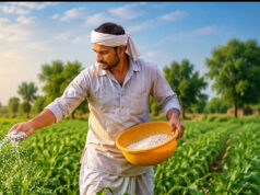 खरीफ सीजन 2026-27 के लिए जिले में उर्वरकों का पर्याप्त भण्डारण, किसानों को उपलब्धता वितरण की कार्यवाही सुगमता से….