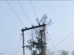 दशकों का अंधेरा छँटा: ‘नियद नेल्लानार योजना’ से जगमगाए नारायणपुर के वनांचल गांव….
