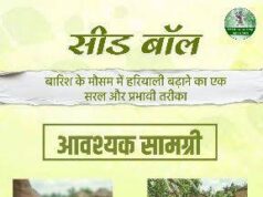 सीड बॉल अभियान- हरियाली बढ़ाने का सरल और प्रभावी माध्यम….