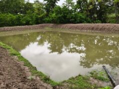 मोर गांव, मोर पानी’ महाभियान का असर: बेमेतरा जिले के तीन विकासखंड क्रिटिकल से सेमी-क्रिटिकल जोन में पहुंचे