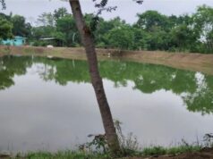 सारंगढ़-बिलाईगढ़ में जल-क्रांति, समृद्ध किसान – सशक्त को कर रहा है साकार……